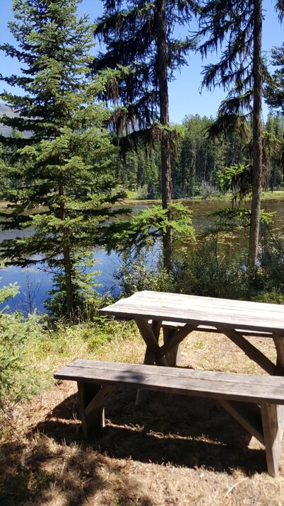 "Elk's Run"  Rustic Cabin Hidden Among The Pines At Falls Creek.