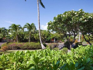 Un jardín arbolado con palmeras, arbustos florecientes y un sendero.
