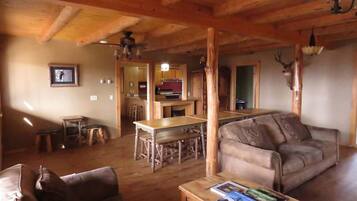 Fernseher, DVD-Player, Bücher, Videothek