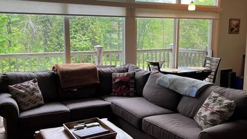 TV connectée, cheminée, jeux vidéo, lecteur de DVD