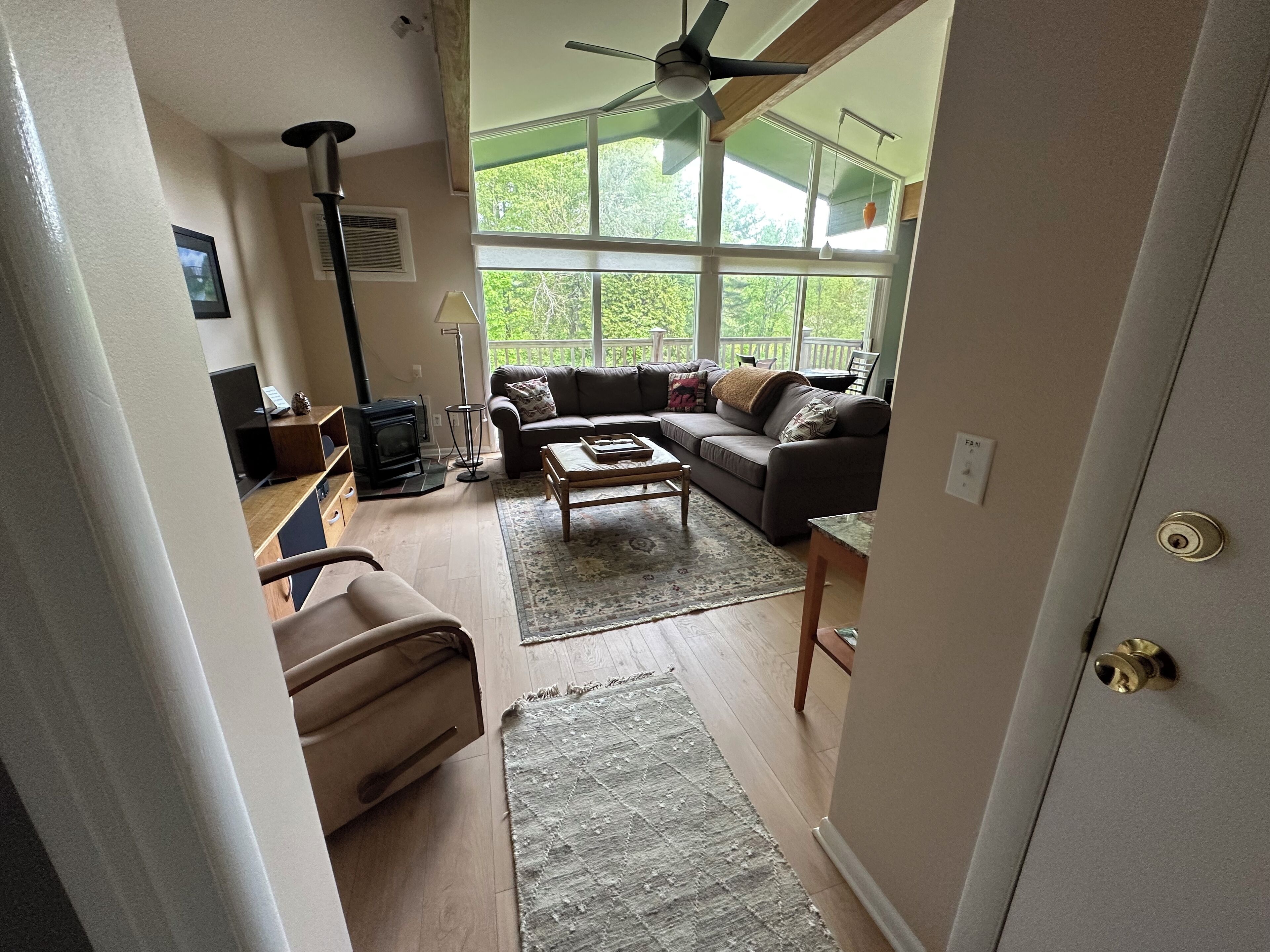 Smart TV, caminetto, videogiochi, lettore DVD