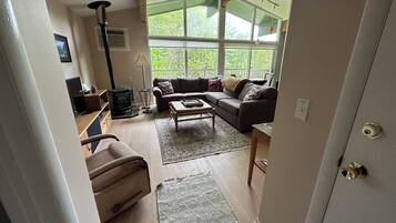 Smart TV, fireplace, video games, DVD player