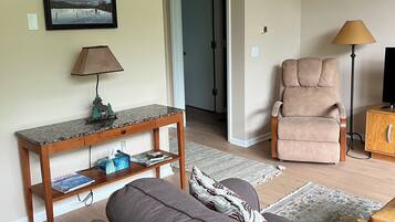 TV connectée, cheminée, jeux vidéo, lecteur de DVD