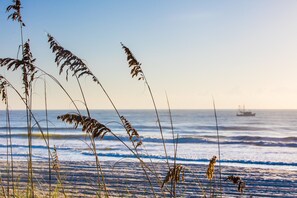 Playa en los alrededores 
