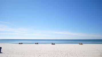 A beach with several empty beach chairs and a clear blue sky.