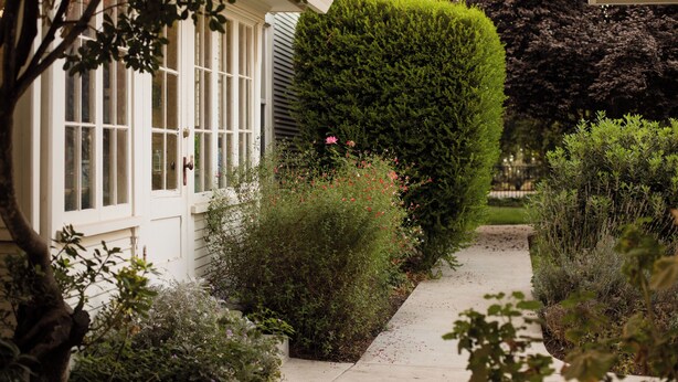 A pathway leading to a house with a neatly trimmed hedge and a variety of plants. - Beautiful Chico Farmhouse With Room for All…10 beds!! (Chico)