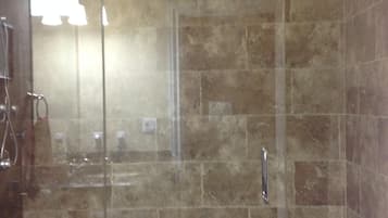 A glass-enclosed shower area with a tiled wall, a visible handrail, and a control panel.
