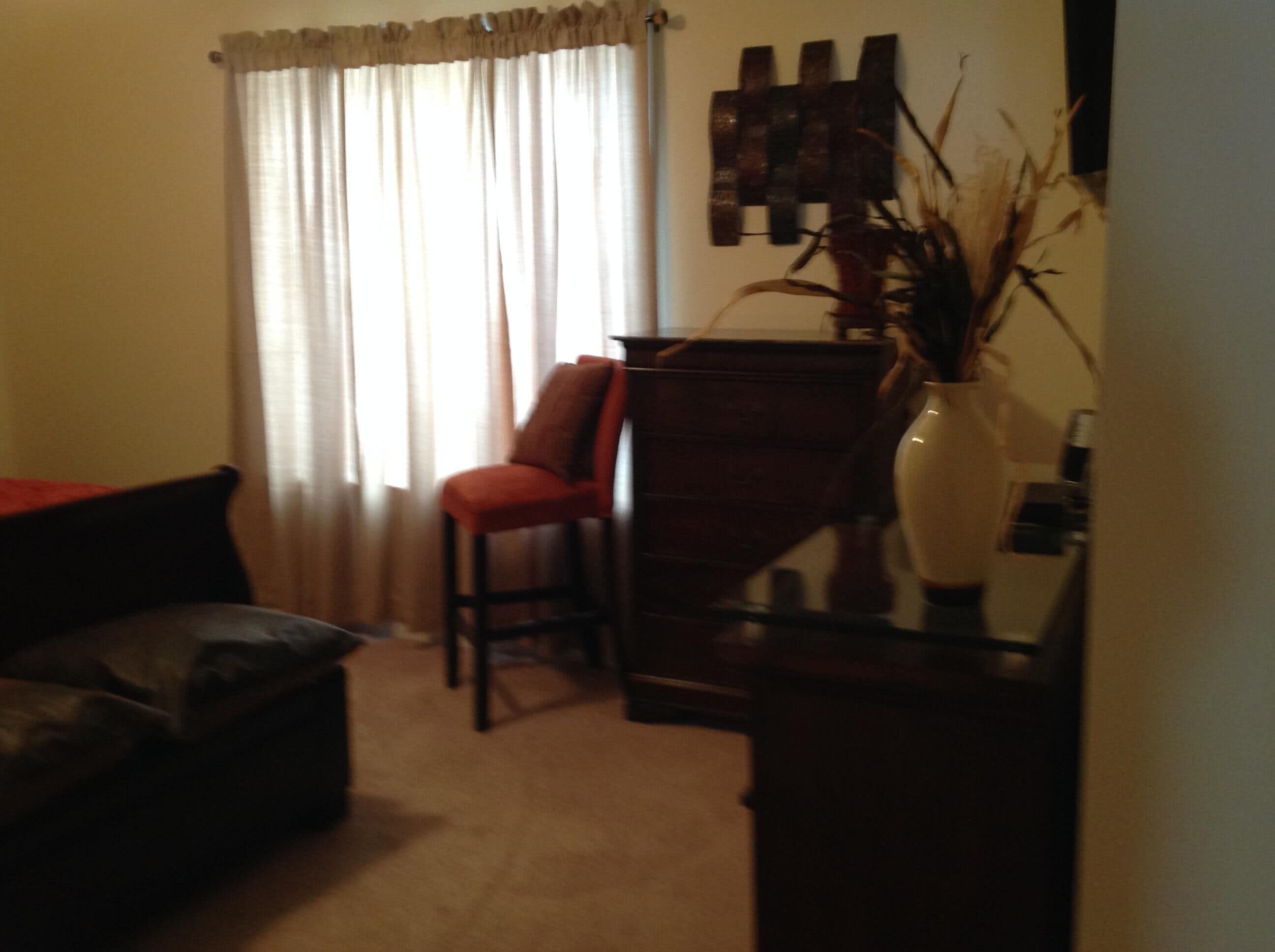 A living room with a red armchair, a dark-colored sofa, a wooden cabinet, and a vase with branches.