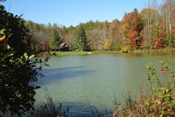 Secluded cabin is close to pond, no other homes in sight.