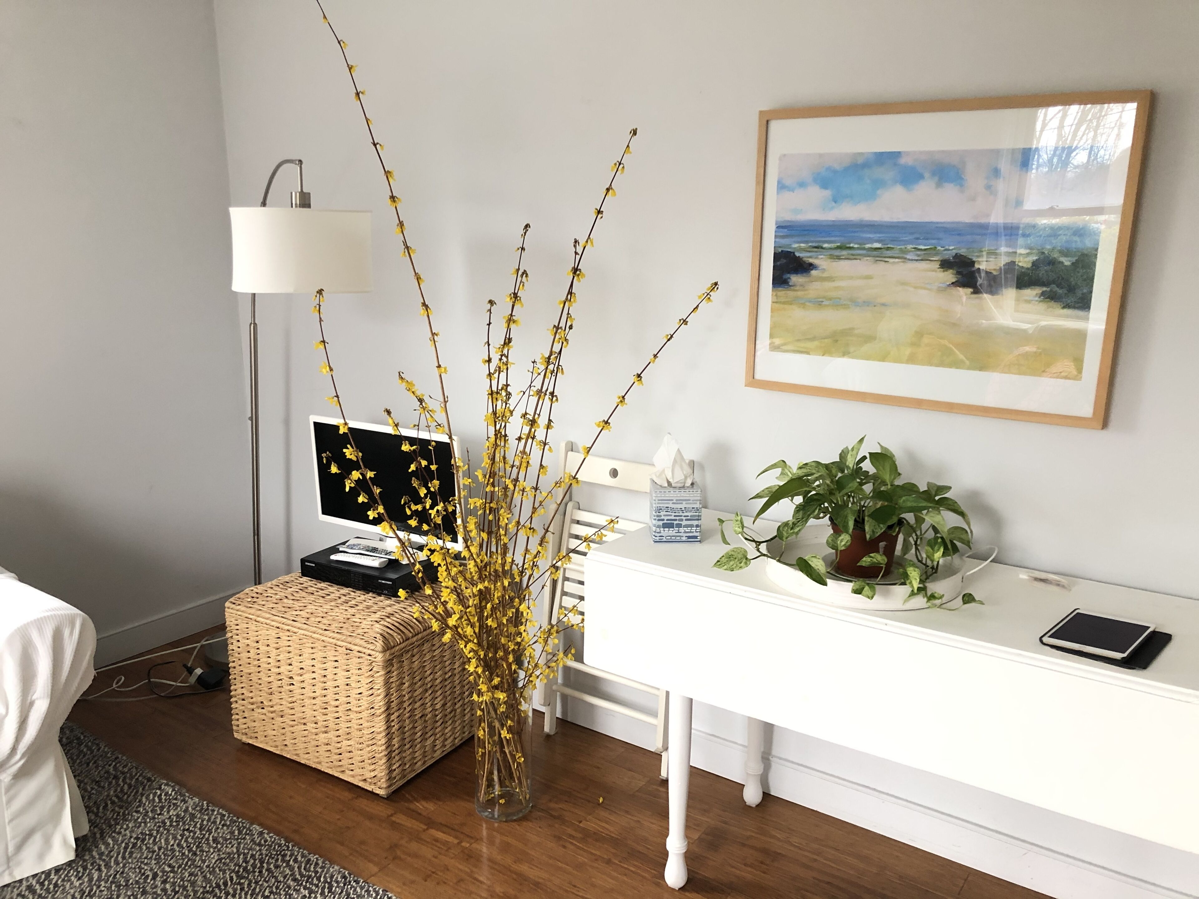 Charming 2 bed house with pool, large backyard in Bellport Village, NY #343-2020