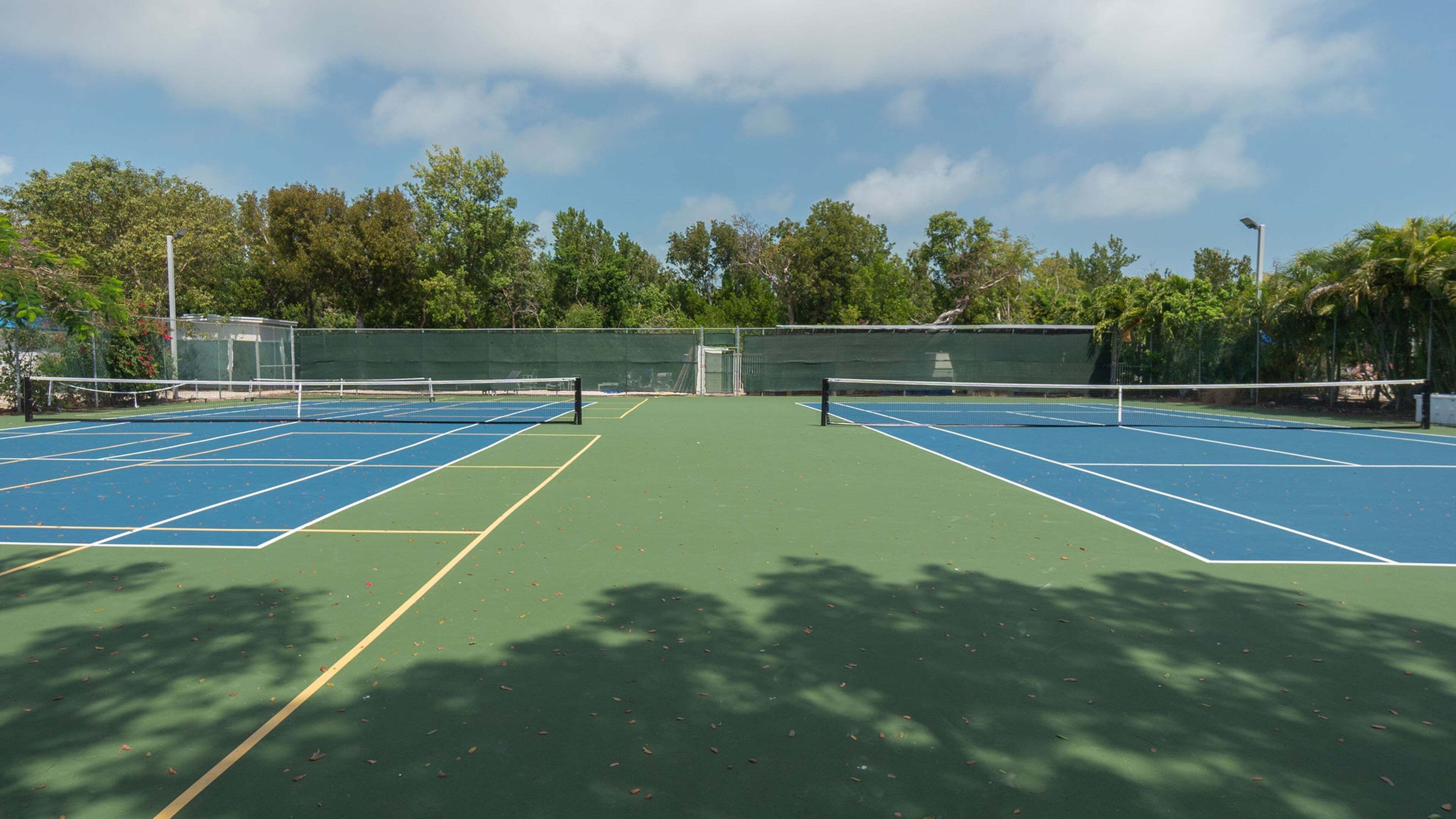 Una cancha de tenis con red, rodeada de árboles y un cielo despejado.
