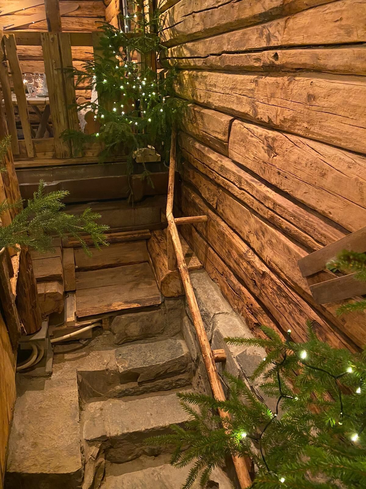 A rustic wooden staircase with stone steps, surrounded by wooden walls and greenery.
