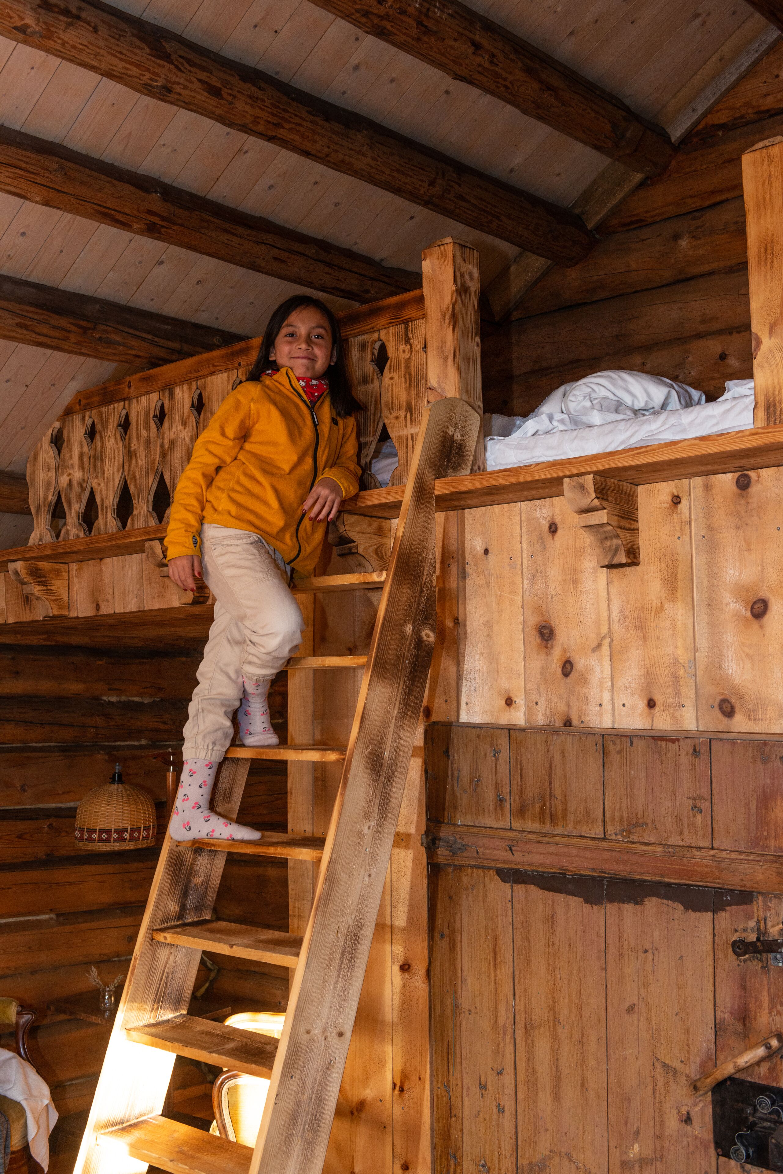 A wooden cabin interior with a wooden ladder leading to a bunk bed.