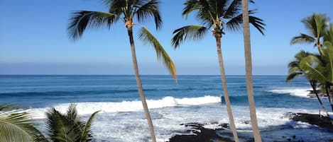 在海滩、沙滩椅、沙滩毛巾
