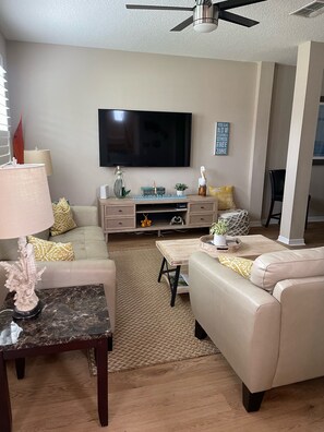 Smart TV, DVD player, books, video library