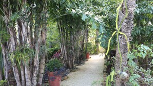 A garden pathway lined with tall palm trees and various potted plants. - Paradise Found!  Beautiful Private Villa On The Sea in the Village of Placencia! (Placencia Village)