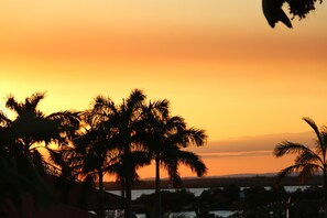 Vista del atardecer con palmeras silueteadas contra el cielo.