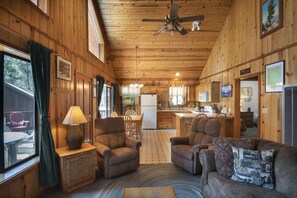 TV, fireplace, books