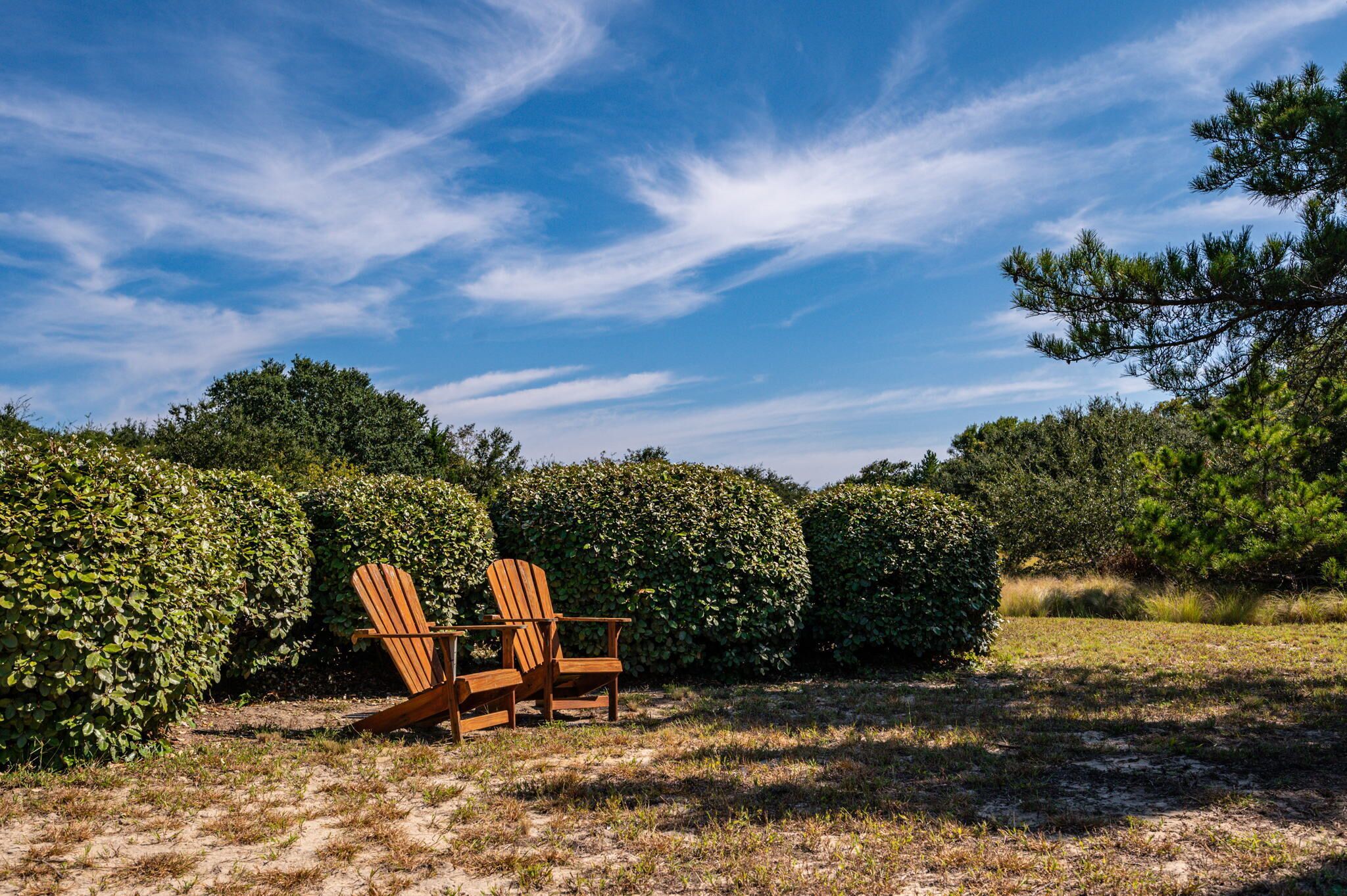 A wooden chair in a garden with dense hedges and trees under a clear sky.