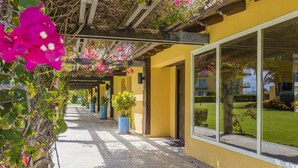 Un pasillo con paredes amarillas, ventanas amplias y plantas en macetas.