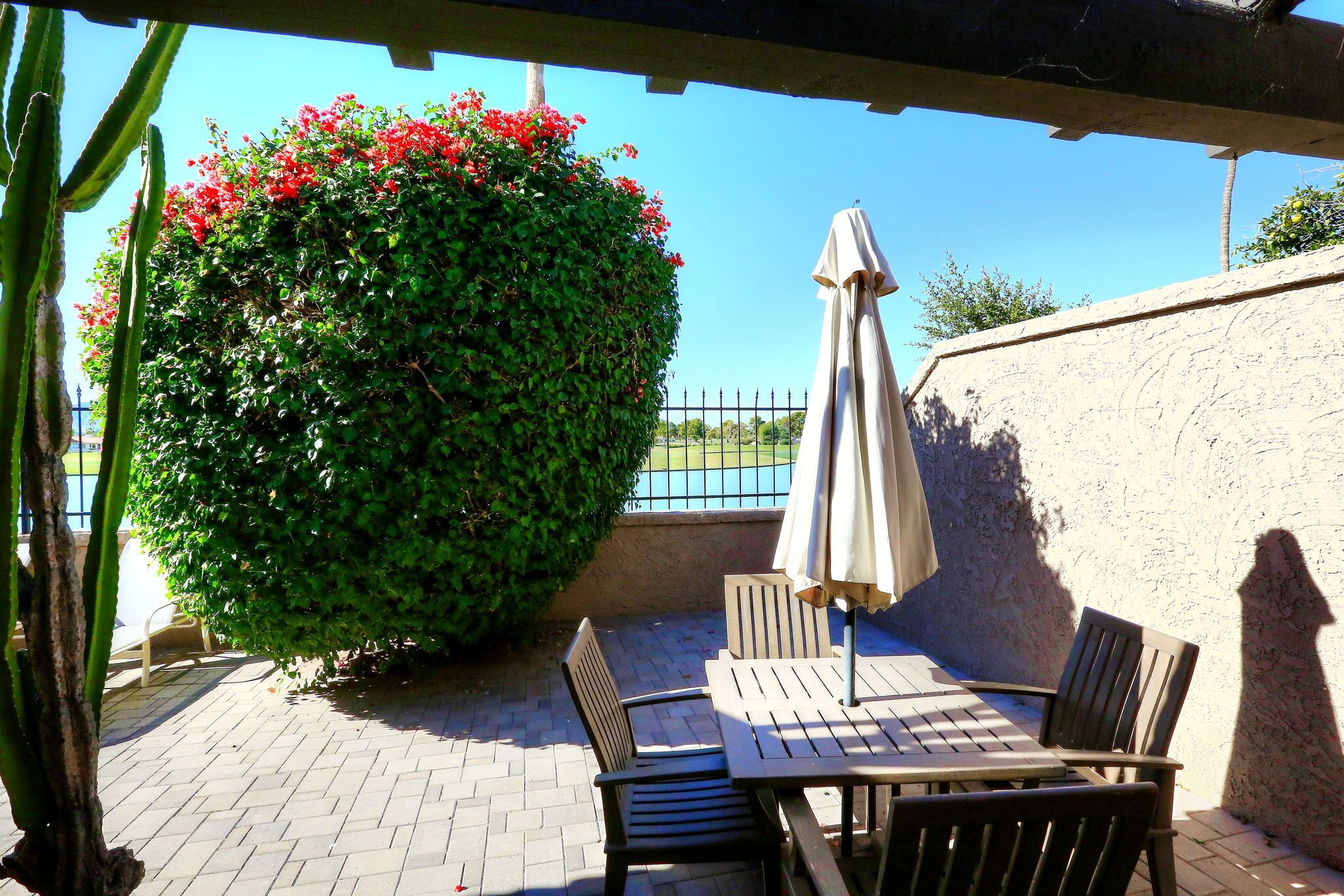 Une terrasse extérieure avec une table et des chaises, un parasol et un grand arbuste vert orné de fleurs rouges.