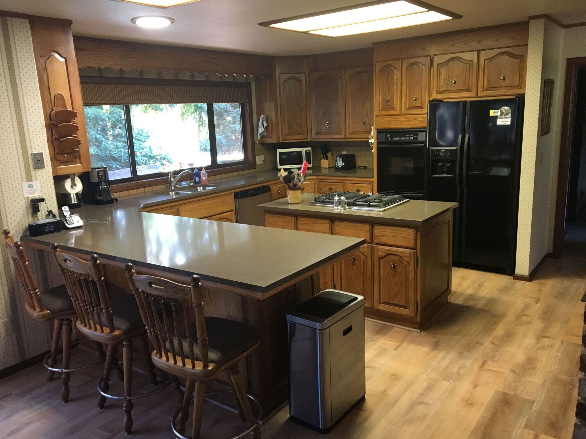 Pudding Creek Woods - Out of the Fog