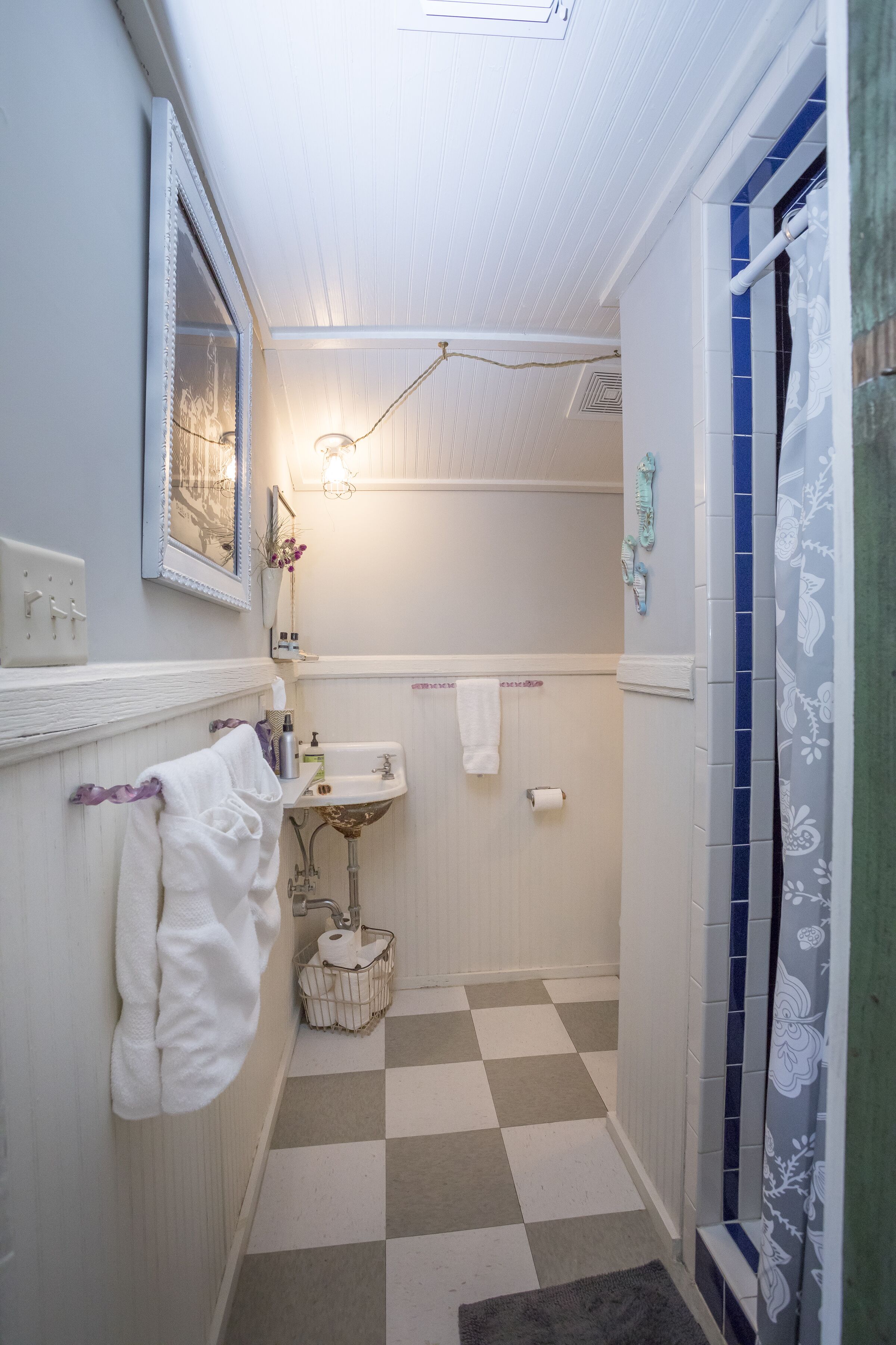 Granbury’s Darling! Walking distance to historic square, beach, & hiking trail! 