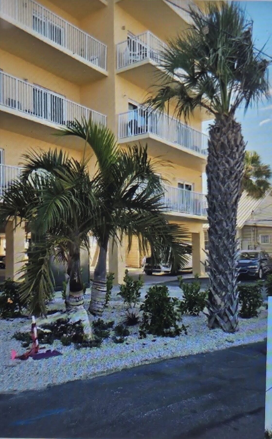 A multi-story building with balconies, palm trees, and a parking area.