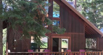 3 Br, 2 Bath +Loft, Dogs OK! - Ask about mid-week specials