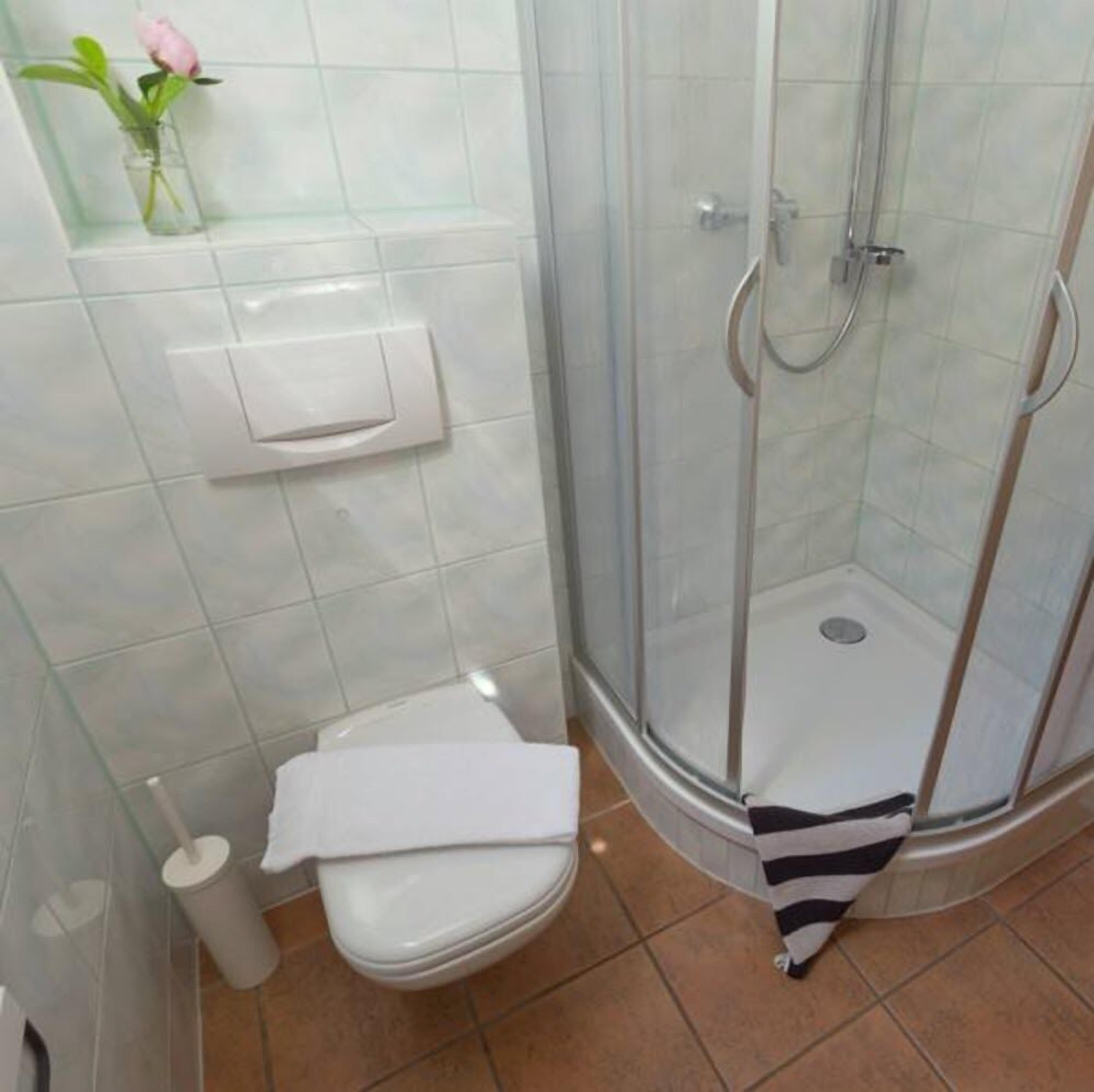 A bathroom with a glass-enclosed shower, a toilet, and a small shelf with a flower.