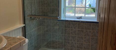A bathroom with a glass-enclosed shower, a toilet, and a window.