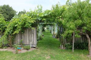 Garden - Le Clos du Ru (Presnoy)