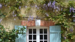 Sonnenterrasse