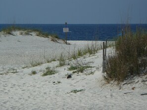 Beach nearby - Amazing Beach Views   (Gulf Shores)