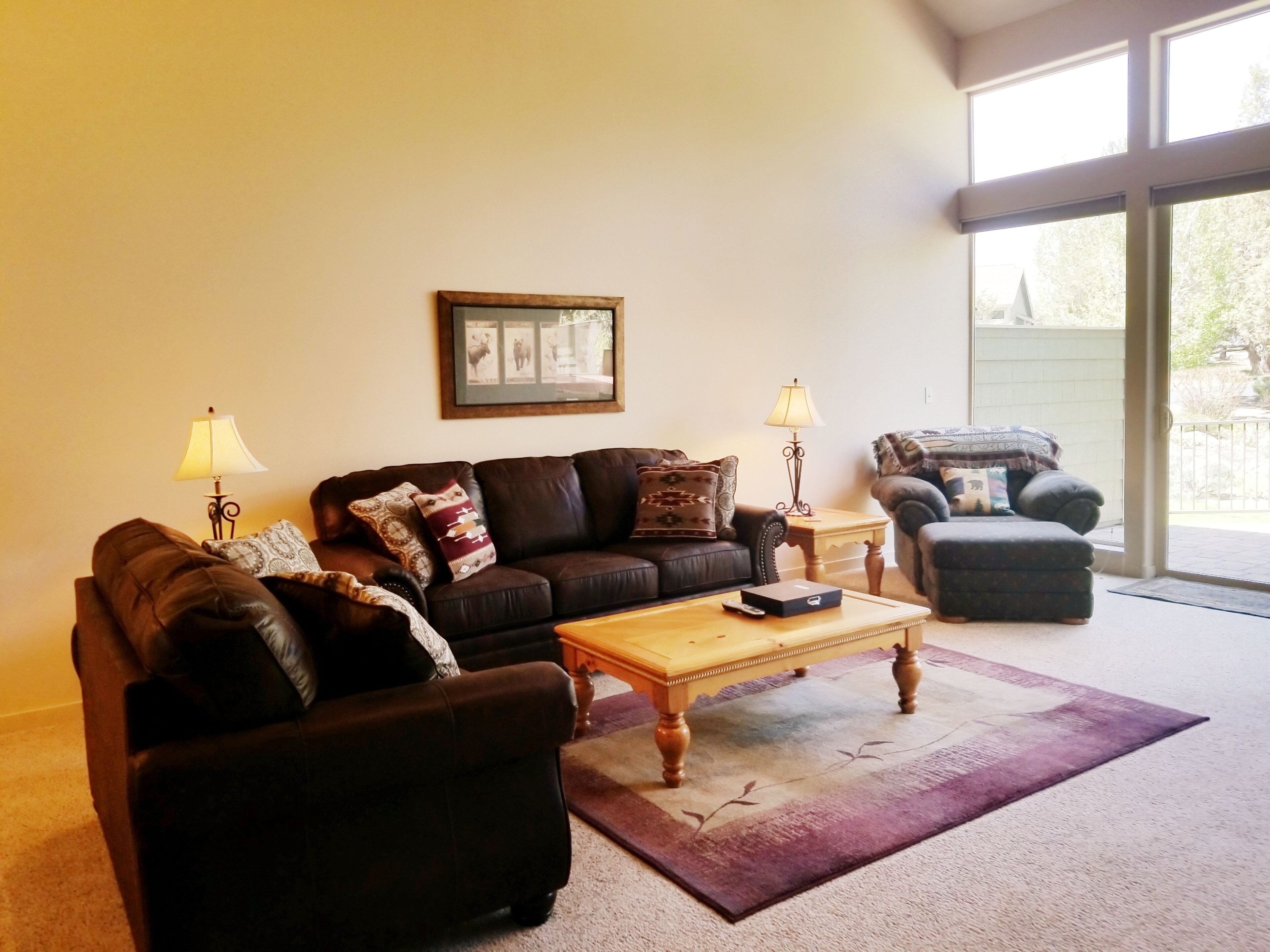 TV connectée, cheminée, lecteur de DVD, livres