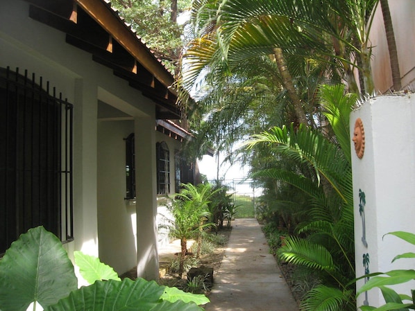 A narrow pathway flanked by lush greenery and a white building with a black gate.