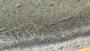Een helder meer met een houten steiger die het water in reikt.