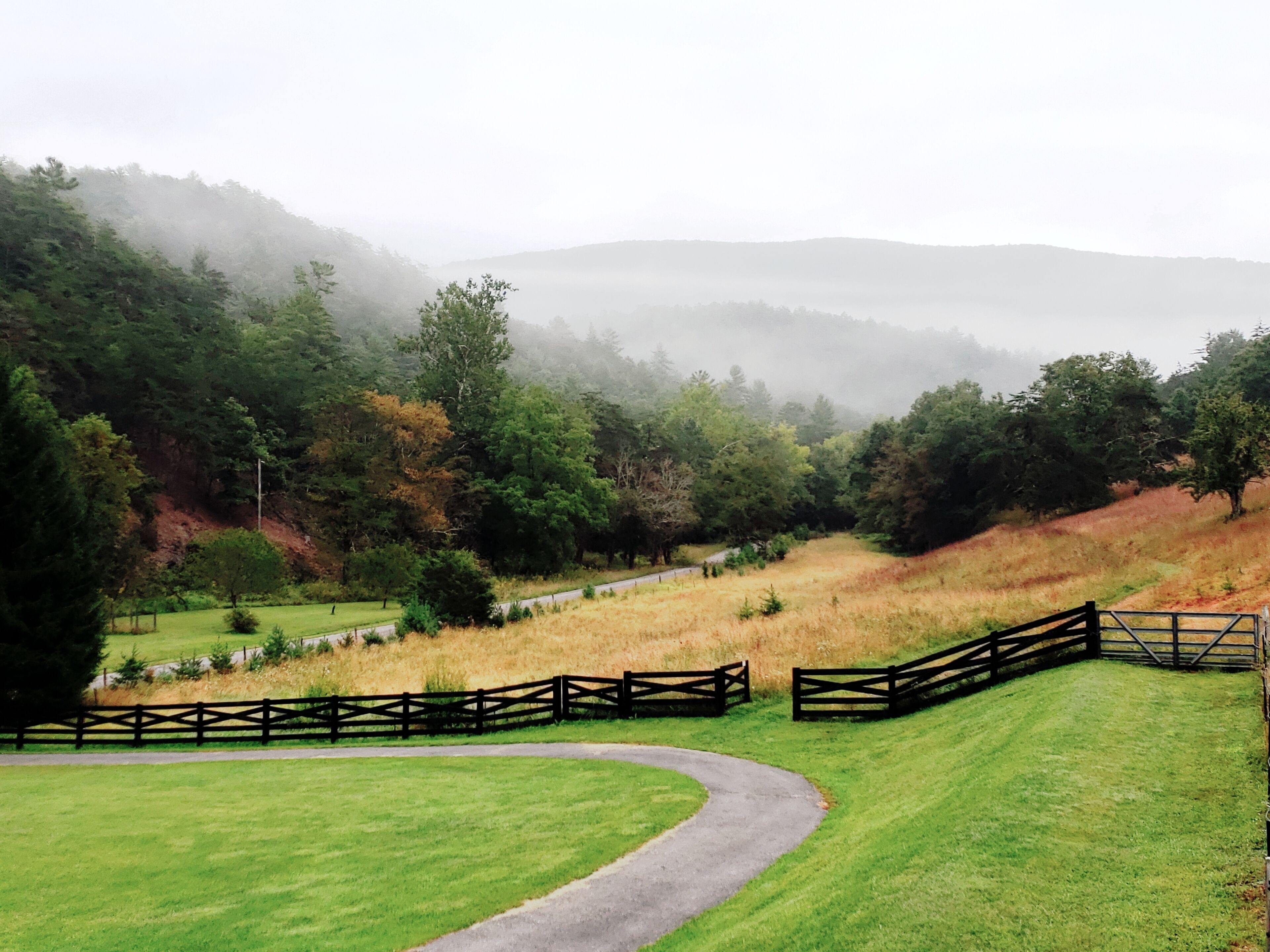 View from porch.