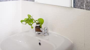 Shower, free toiletries, towels