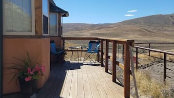 A wooden deck with a railing, a potted plant, and a blue chair.