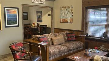 TV, fireplace, DVD player, books