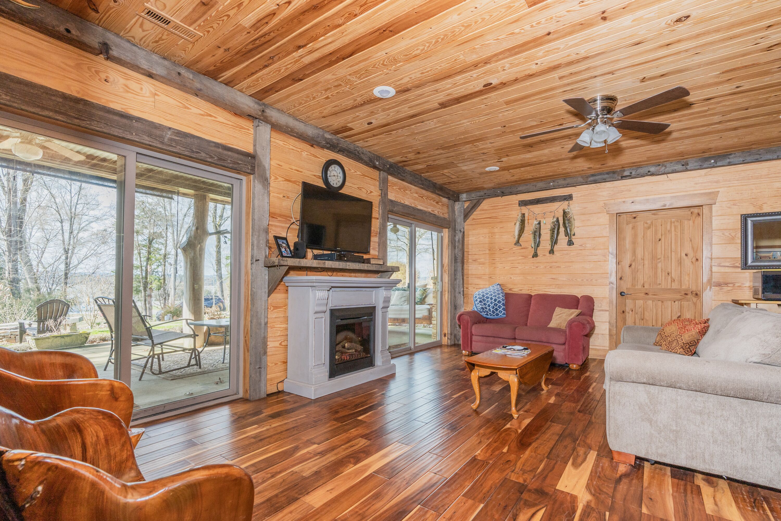 Smart TV, chimenea, reproductor de DVD y libros 