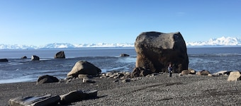 Ditt "hem hemifrÄn" -Rustic Alaskan Home