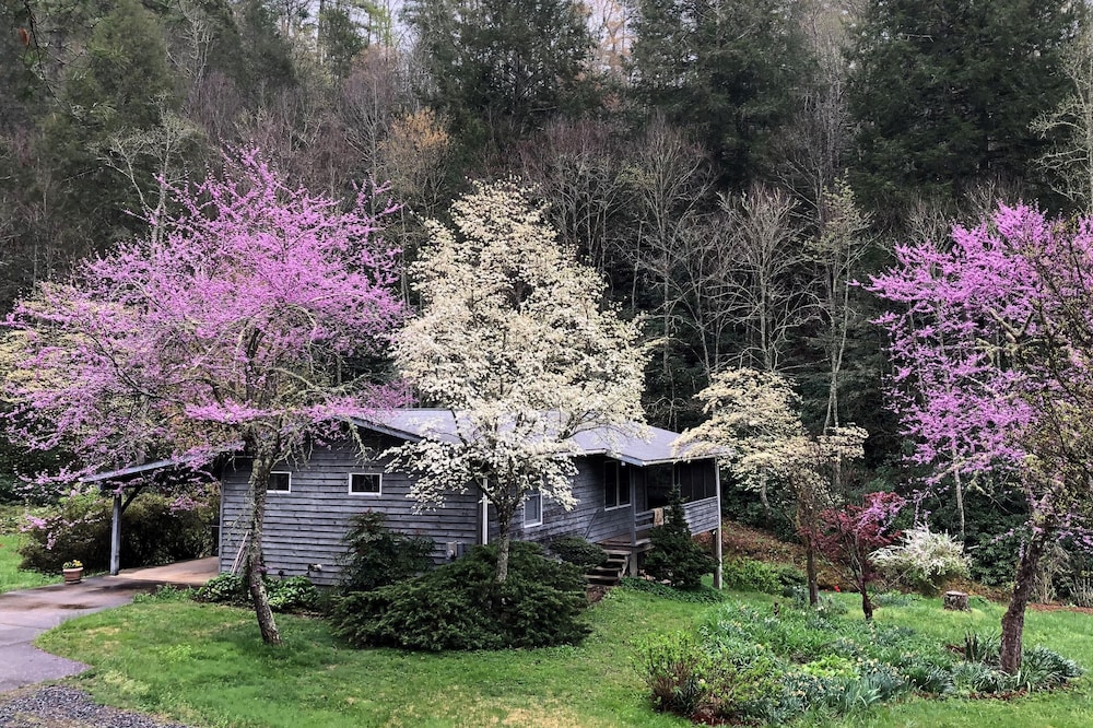 Wilderness retreat near Asheville, Myra's Cottage offers comfort & adventure