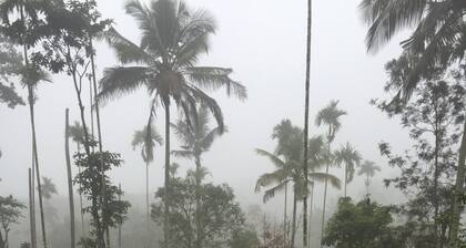 Überschwang garantiert !!! Village bleiben