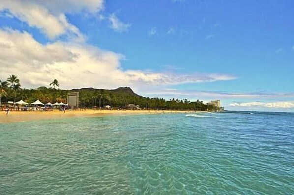 Beach nearby, sun loungers, beach towels - Waikiki Banyan,1BR, Sleeps 4, Full Kitchen, FREE PARKING, NO RESORT FEES (Honolulu)