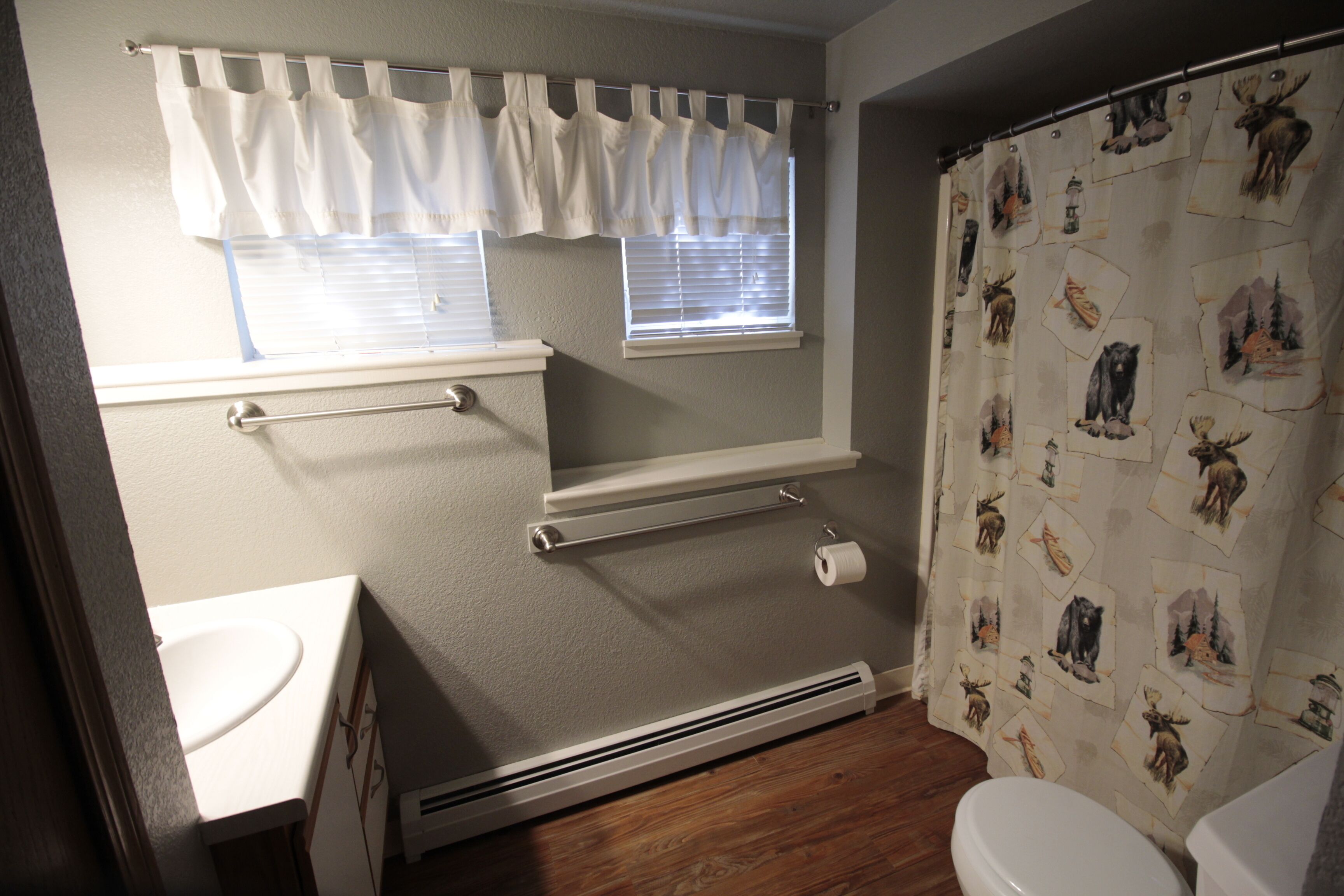 A Yellowstone Park View!