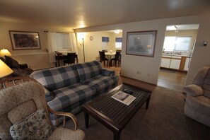 TV, DVD player, books, video library