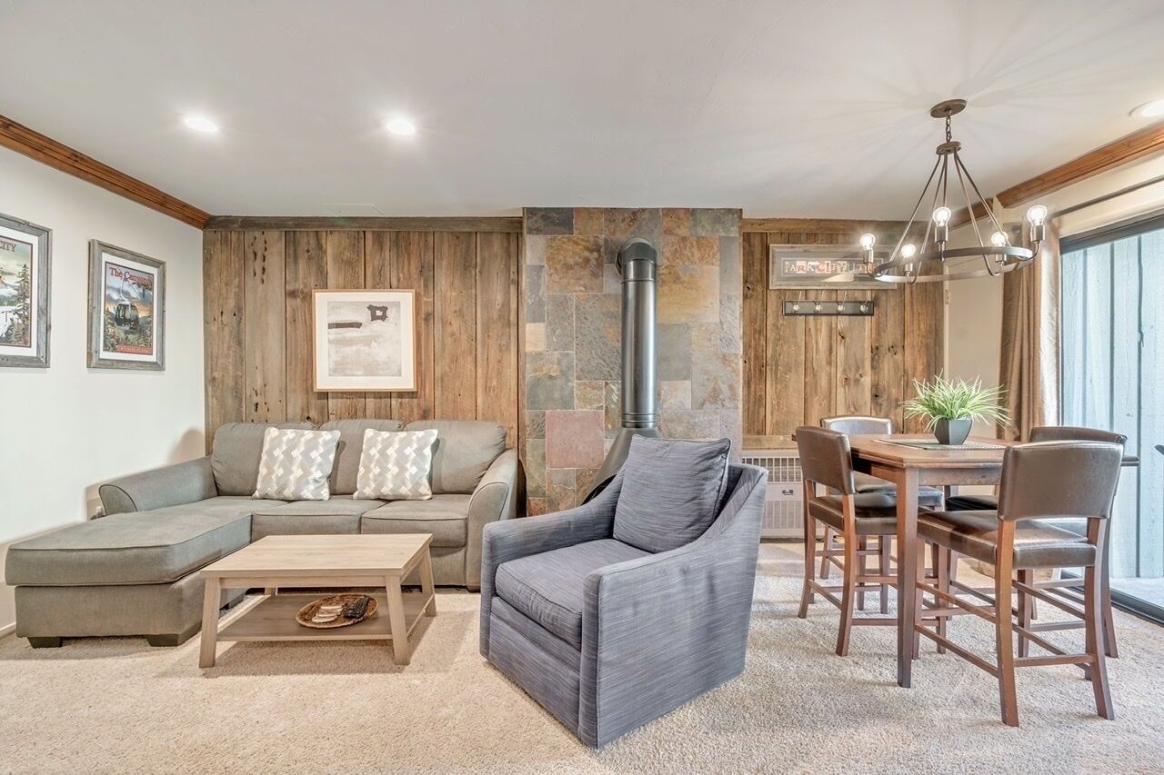 TV connectée, cheminée, lecteur de DVD, livres