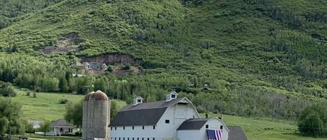 A white barn with an American flag, a silo, and a house in a rural setting with green fields and hills.